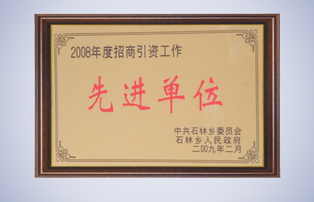 1590565821744681.jpg 2008年度招商引資工作.jpg